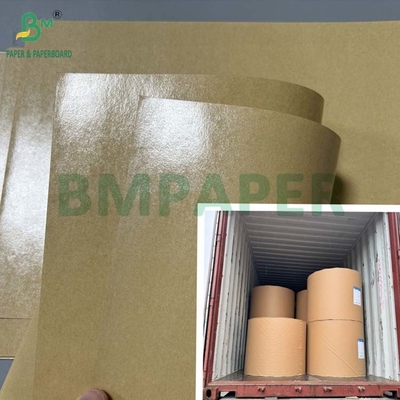 300gm Grease Proof 1 Side PE Coated Paperboard Untuk Lunch Box 70 x 100cm