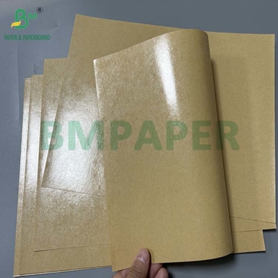 300gm Grease Proof 1 Side PE Coated Paperboard Untuk Lunch Box 70 x 100cm