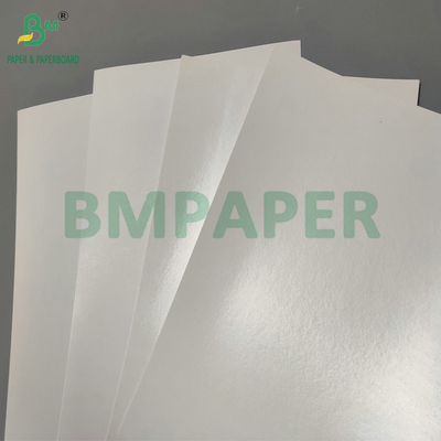 Water Resistant Single PE Coated 190gsm 210gsm Cupstock untuk membuat cangkir kertas panas dan dingin