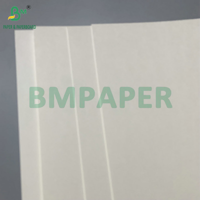 Water Resistant Single PE Coated 190gsm 210gsm Cupstock untuk membuat cangkir kertas panas dan dingin