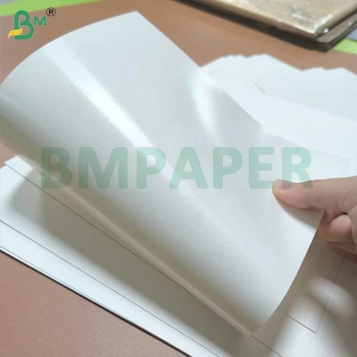 Panas - Resistant Cup Board Material PE Lapisan Satu Sisi Warna Putih