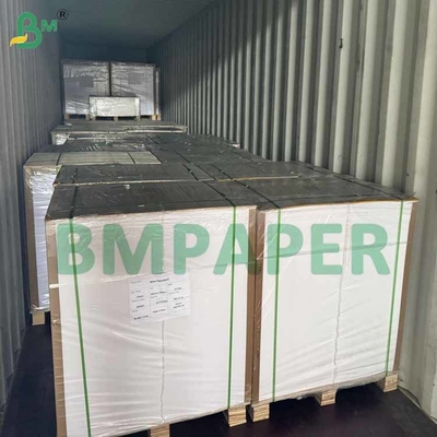Panas - Resistant Cup Board Material PE Lapisan Satu Sisi Warna Putih