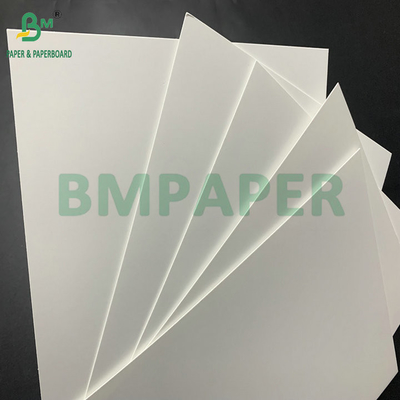 Waterproof 275gsm 325gsm PE Coated Freezer Cardboard Untuk Frozen Shrimp Box
