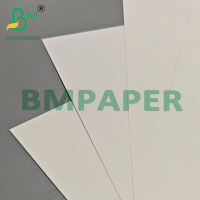 Multi Purpose 200um PET Film Paper Untuk Ekspor Kemasan & Label Industri