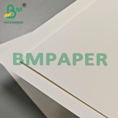 Multi Purpose 200um PET Film Paper Untuk Ekspor Kemasan & Label Industri