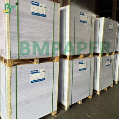 250gm Aqueous Cup Base Paper Water Based Plastic Free Food Grade
