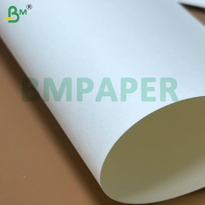 PE dilapisi Non-Toksik Ramah Lingkungan Malleability Baik Waterproof Cup Sheets Paper Untuk Cup