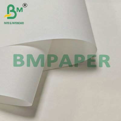 30grs 800mm Blank Grease Resistant Paper Untuk Pengemasan Makanan Goreng