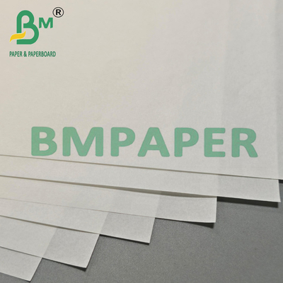30grs 800mm Blank Grease Resistant Paper Untuk Pengemasan Makanan Goreng