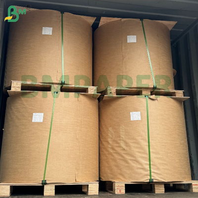 300gsm 330gsm 350gsm Karton Tahan Minyak Food Grade Kekakuan Tinggi Foodpack Kotak Kemasan Makanan Goreng