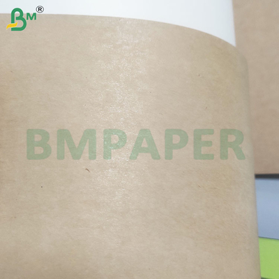 195gsm+15gsm PE Lapisan kertas yang dilapisi mangkuk untuk wadah makanan