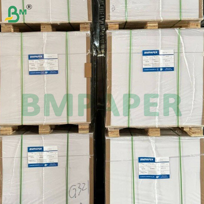 195gsm+15gsm PE Lapisan kertas yang dilapisi mangkuk untuk wadah makanan