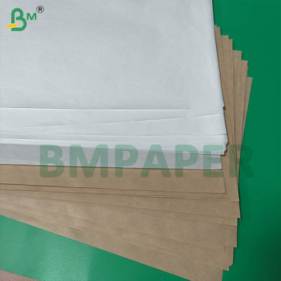 Kertas Tahan Minyak Murni 38gsm 50gsm Putih & Coklat Untuk Kantong Sandwich