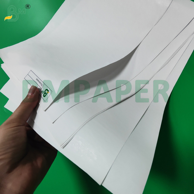 55gm 65gm Termal Paper Jumbo Roll Untuk Mesin POS 480mm Ramah lingkungan