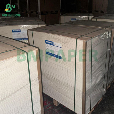 Kartu Blister Glossy Satu Sisi 350GSM 400GSM untuk Baki Thermoformed