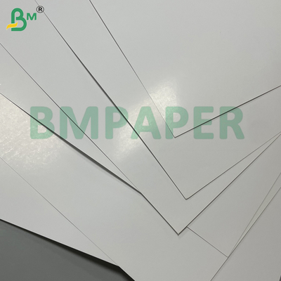 Kertas Digital Printing C2S Glossy Coated 300g Dalam Gulungan Untuk Brosur & Katalog Kelas Atas