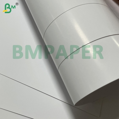 Kertas Digital Printing C2S Glossy Coated 300g Dalam Gulungan Untuk Brosur & Katalog Kelas Atas