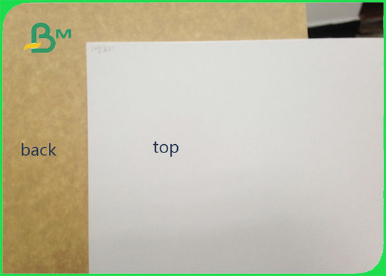 450gsm FSC Bersertifikat Tanah Liat Dilapisi Kraft Kembali Food Grade Paper Roll / Putih Liner Kertas Untuk Kemasan