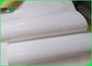 Ramah Lingkungan 40gsm + 10g PE Coated Food Grade Paper Roll Untuk paket Merica