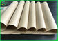 Menembus panas Food Grade Paper610mm 860mm 200gsm - 350gsm + 10g PE dilapisi kertas Roll