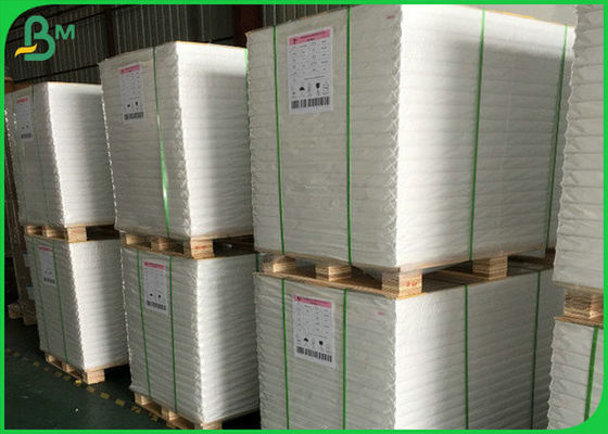 300GSM FSC SGS Putih Glossy Art Paper Reel Dengan 100% Bahan Pulp Alami