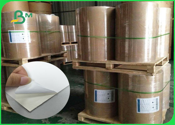 FSA 100% Vigrin Pulp Selulosa Karton Warna Putih Tinggi Massal 1.0mm 2mm