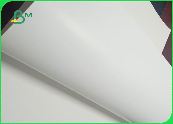 FSC Bersertifikat Ketebalan Massal Yang Baik 250gsm 270gsm 300gsm C1S Ivory Board Paper Fold In Roll
