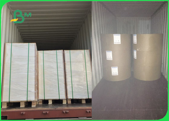 250gsm 270gsm 300gsm Putih C1S Ivory Board Lipat Satu Sisi Dilapisi FSC Bersertifikat