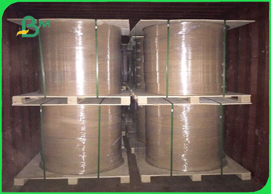 FSC Bersertifikat Minyak Dan Kertas Air PE Dilapisi Dalam Lembar Dan Gulungan