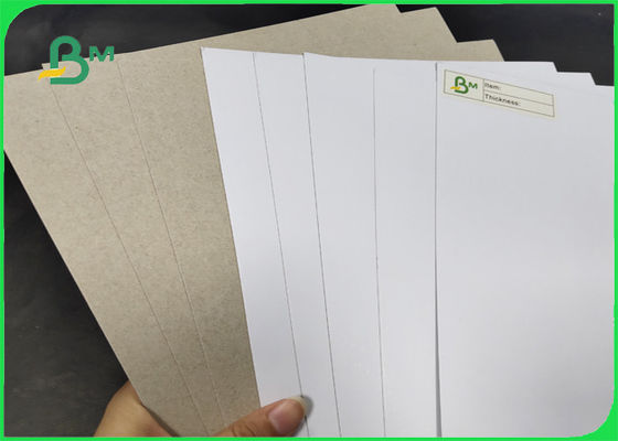 200 / 230gr C1S Dengan Abu-abu Kembali Grade AA Lebar 1250mm Dengan Bersertifikat SGS &amp; FSC