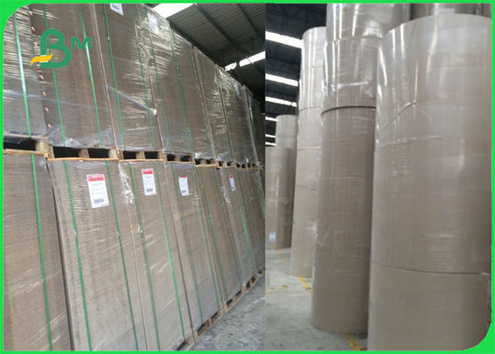 FSC Berbeda Warna Karton Buku Mengikat Papan Lembar Untuk Lever Arch File