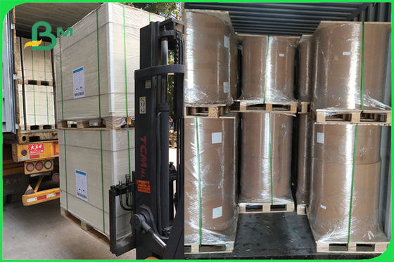 FSC FDA 300gsm Gading Satu Sisi Dilapisi Papan Putih PE GC1 Kertas Untuk Mangkuk Kertas