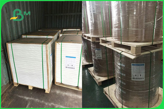 Disesuaikan Single Side PE Coated Paper Untuk Disposable Plates FSC FDA Disetujui