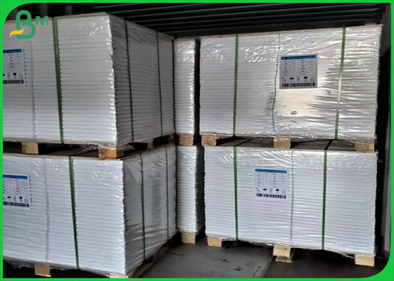 70lb 80lb White Offset Printing Paper Roll Dengan Sertifikasi FSC
