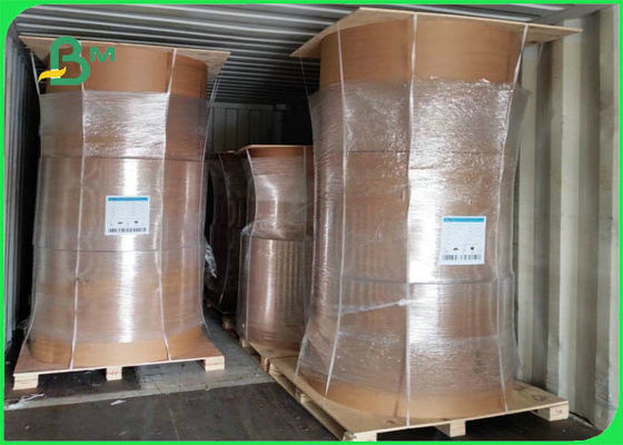Kemasan Makanan PE Coated Kraft Paper Board Food Grade Untuk Kotak Bawa Pulang