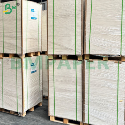 190gsm+15gsm PE Lapisan kertas cokelat tahan air untuk cangkir