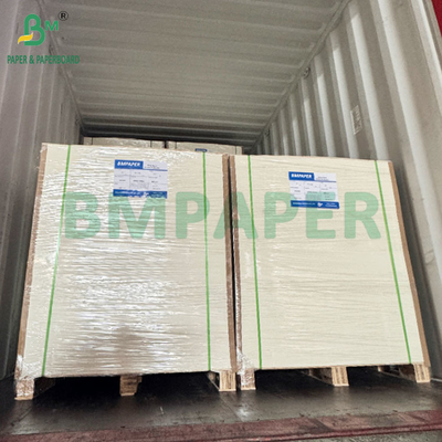 Kartu Blister Glossy Satu Sisi 350GSM 400GSM untuk Baki Thermoformed
