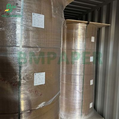 Gulungan Kertas Kraft Food Grade yang Dapat Didegradasi 20gsm - 50gsm untuk Penyaringan Kopi