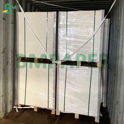 PET Lapisan Makanan Plat Kertas Bahan Putih Warna Makanan Tray Kertas