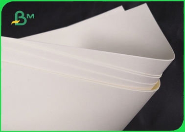 190gsm Biodegradable 210gsm Cupstock Base Paper Untuk mangkuk Makanan 720MM 860MM