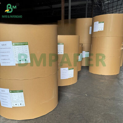 40gsm +15PE Putih Lemak Proof PE Coated Paper Untuk Kemasan Makanan 70cm 80cm