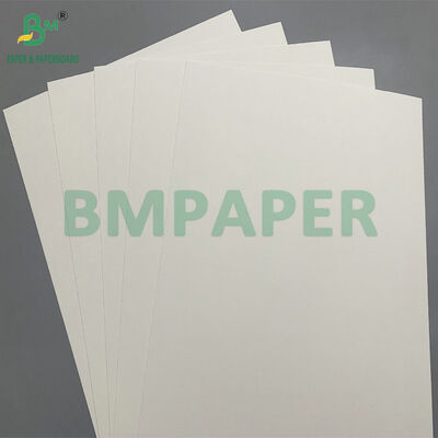 210 GSM Natural Kraft PE Coated Biodegradable Paper for Cold Cups - Komposable