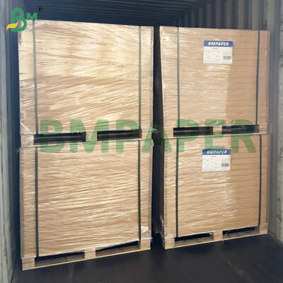 Microwave - Kertas Makanan Aman Untuk Piring Kertas, Cangkir Tahan Potongan