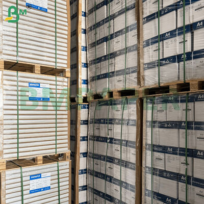 50/60gm Lembar-Lembar Kertas Alkitab Gambar Tipis Jelas untuk Cetak Offset