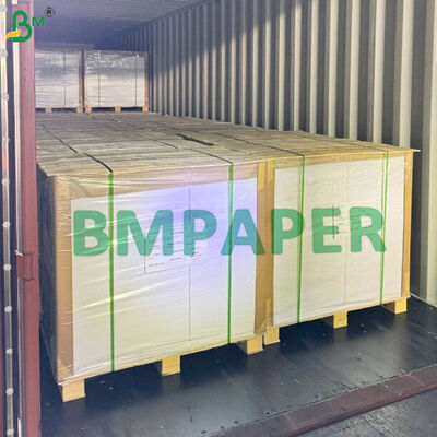 Papan kertas PET tahan panas untuk cangkir, mangkuk yang dapat dibakar