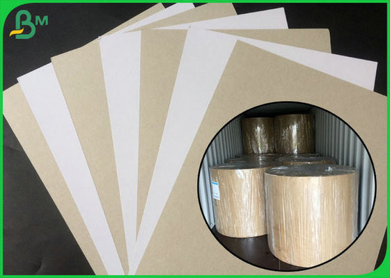 FSC Bersertifikat Dilapisi Duplex Board Sisi Putih Dengan Abu-abu Kembali Dalam Kemasan Gulung Besar