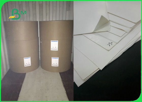 270gsm 280gsm One Side Coated FBB GC1 Ivory Board Sheet Sertifikat FSC