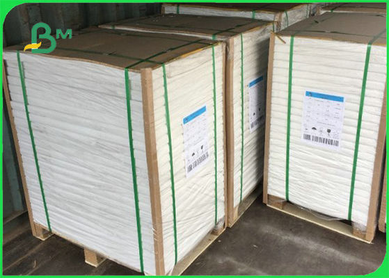 FSC C1S Ivory Board Poly Coated Paper 300gsm + 15g PE 70 X 100cm Untuk Pembuatan Cup