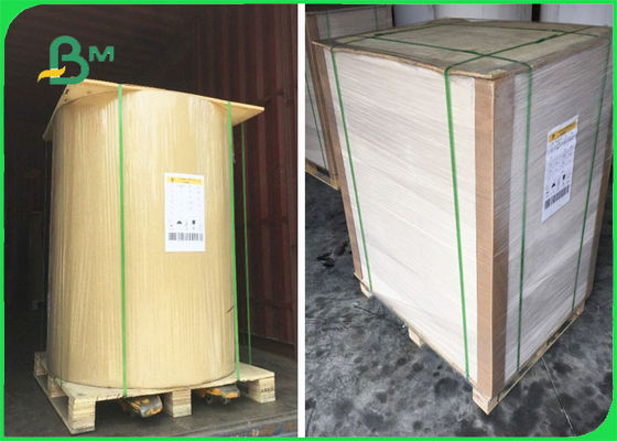 FSC Bersertifikat Sisi Balik Kertas Kraft Dalam Lembar Satu Sisi Putih 32 × 40 ''