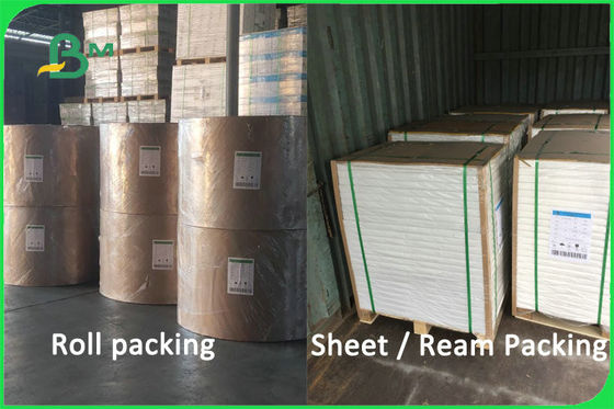 100% Virgin Pulp Biodegradable Bahan Piala Kertas Dilapisi 170 - 300gsm FDA FSC